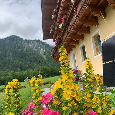 Alpen Appartements Oberlehengut Werfenweng Dış mekan fotoğraf