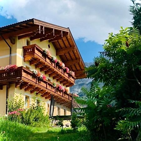 Alpen Appartements Oberlehengut Werfenweng Dış mekan fotoğraf
