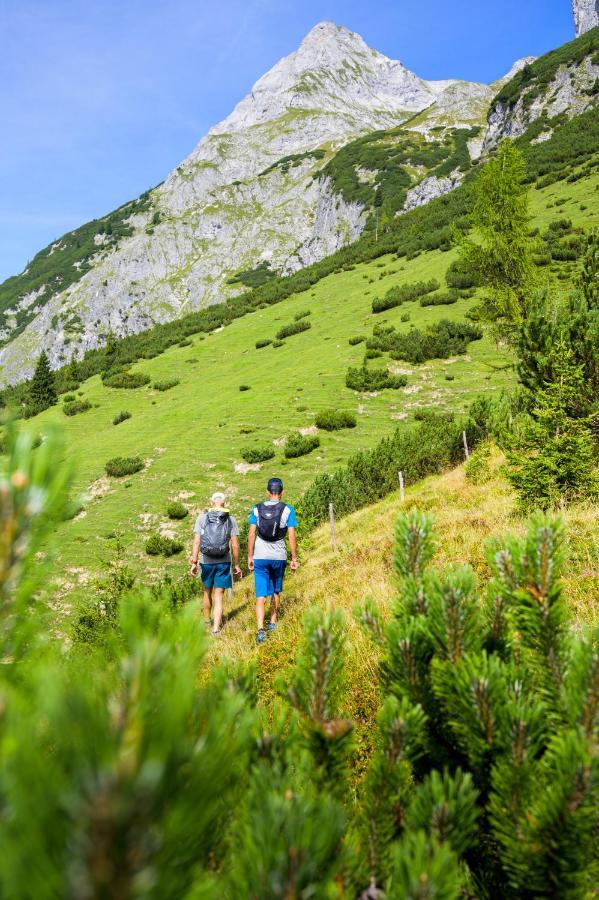 Alpen Appartements Oberlehengut Werfenweng Dış mekan fotoğraf