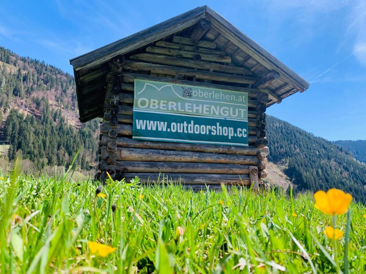 Alpen Appartements Oberlehengut Werfenweng Dış mekan fotoğraf