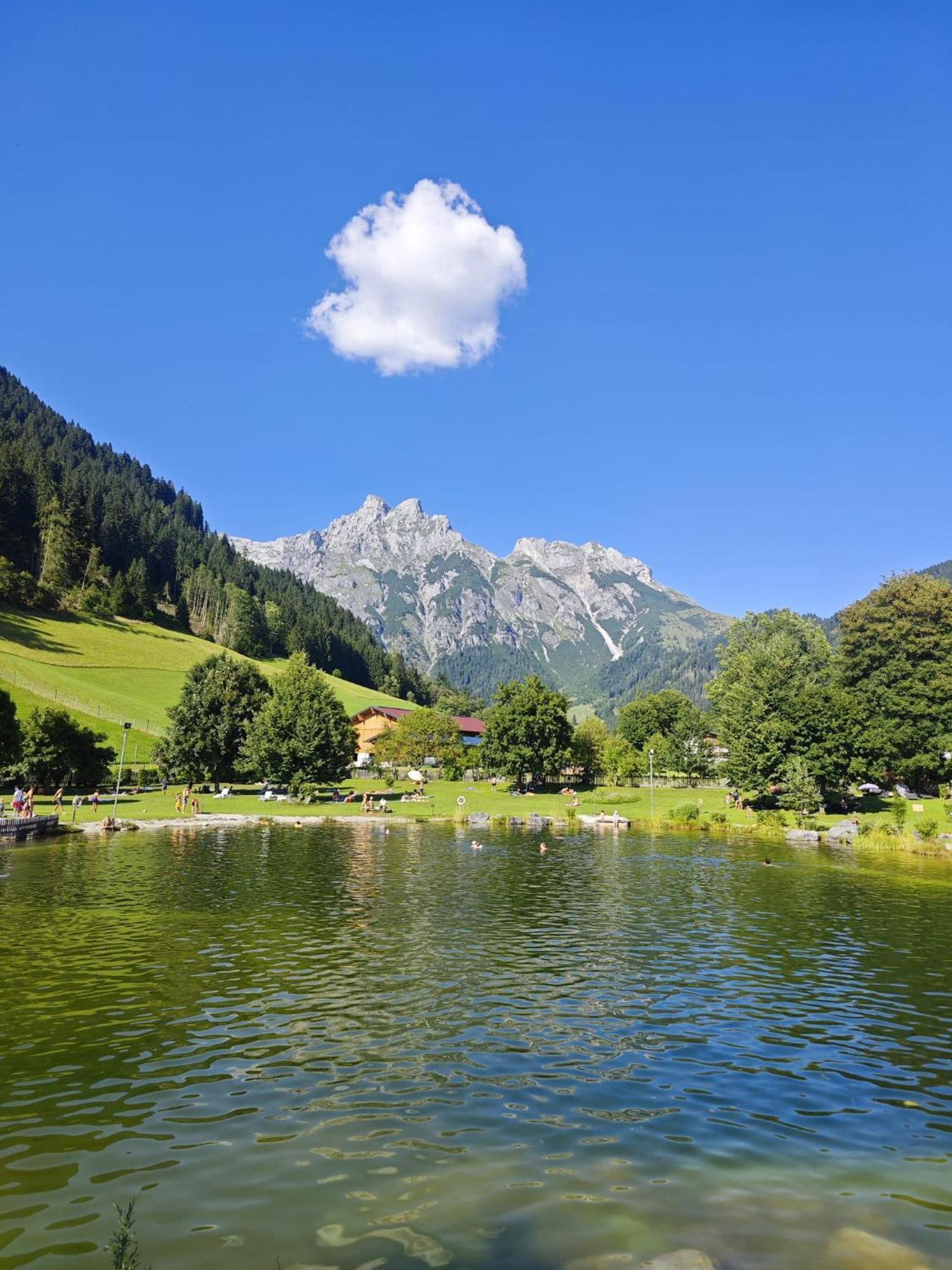 Alpen Appartements Oberlehengut Werfenweng Dış mekan fotoğraf