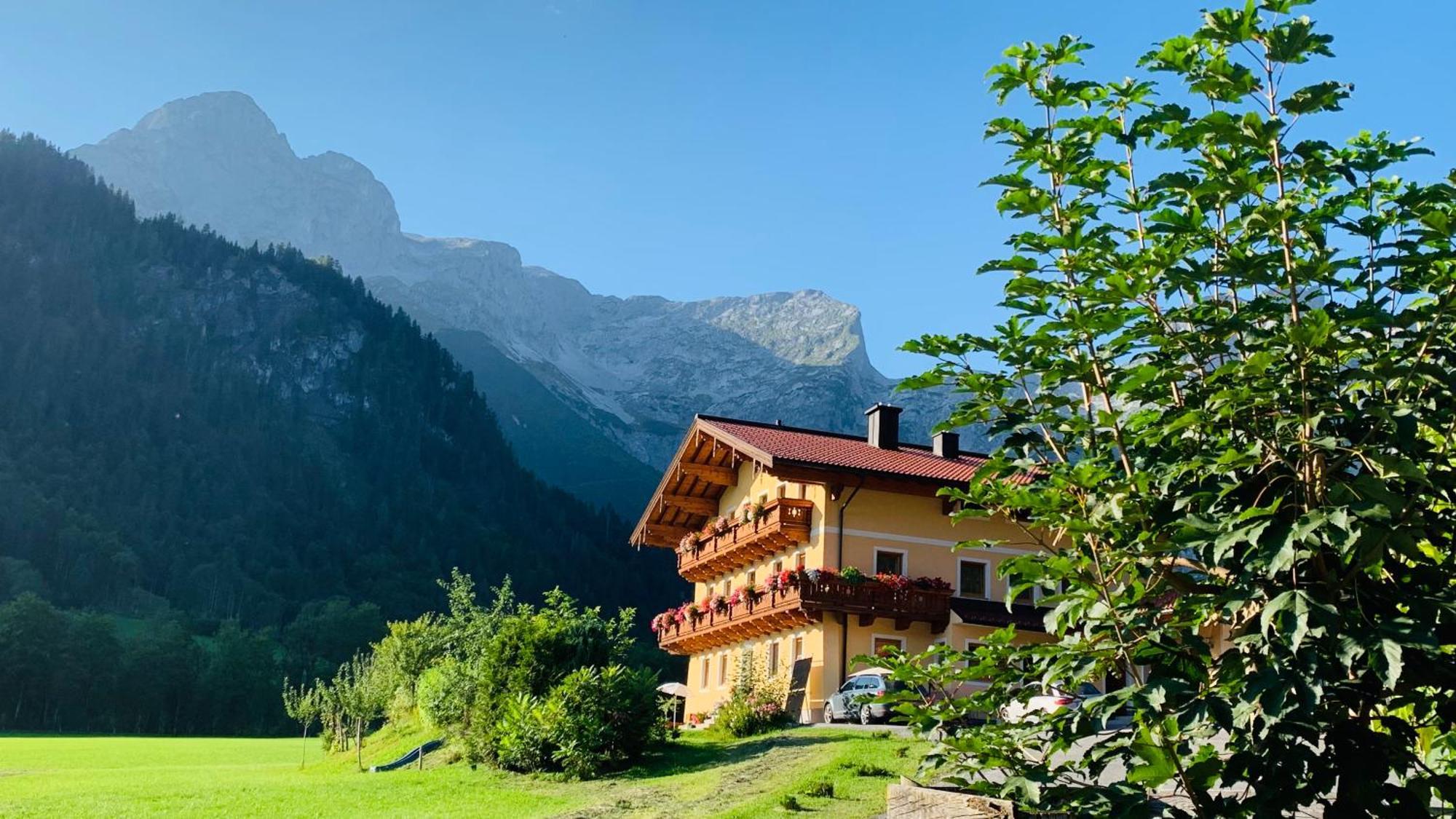Alpen Appartements Oberlehengut Werfenweng Dış mekan fotoğraf
