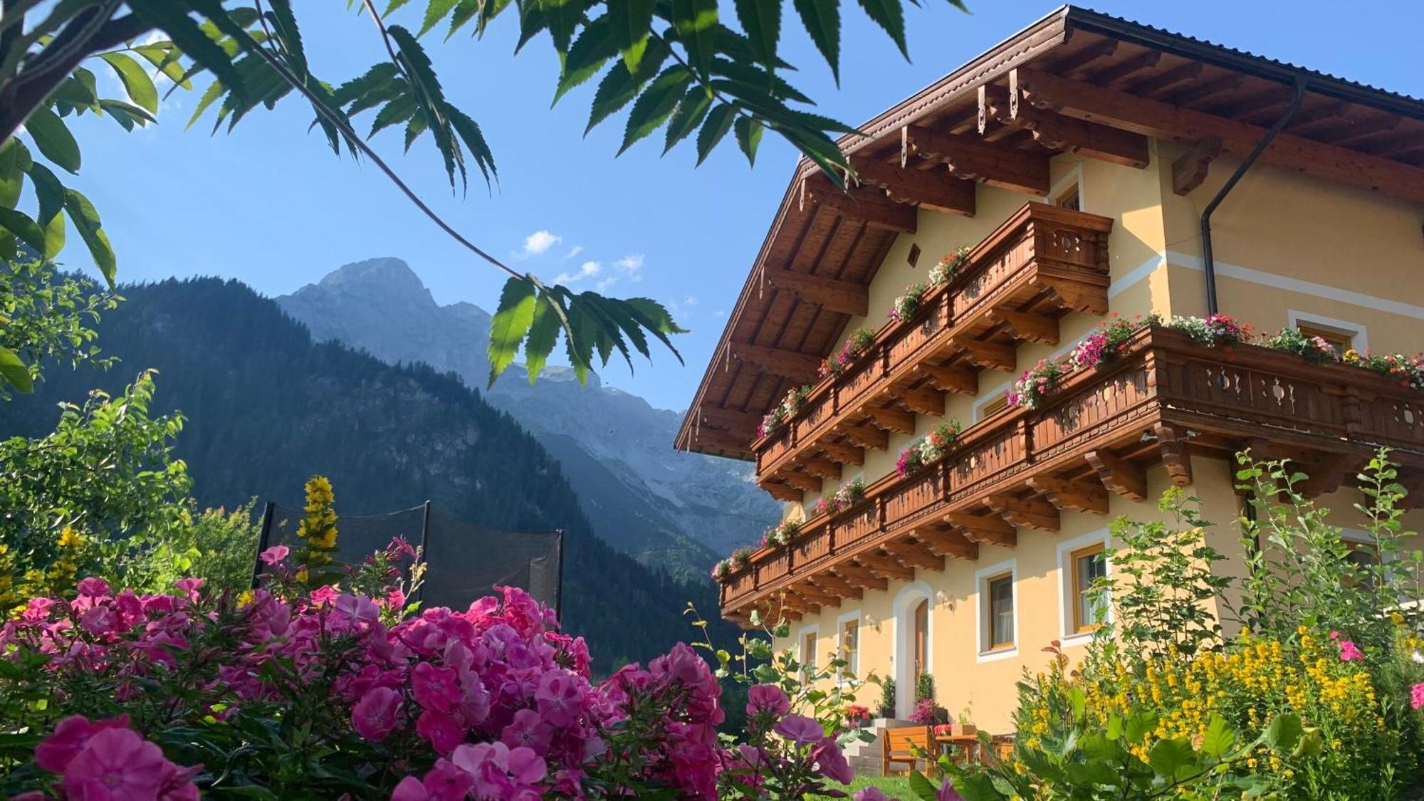 Alpen Appartements Oberlehengut Werfenweng Dış mekan fotoğraf