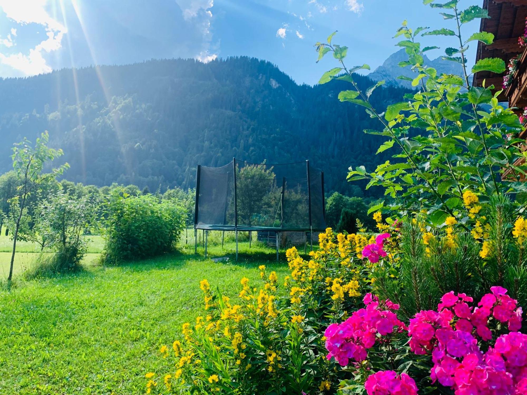 Alpen Appartements Oberlehengut Werfenweng Dış mekan fotoğraf