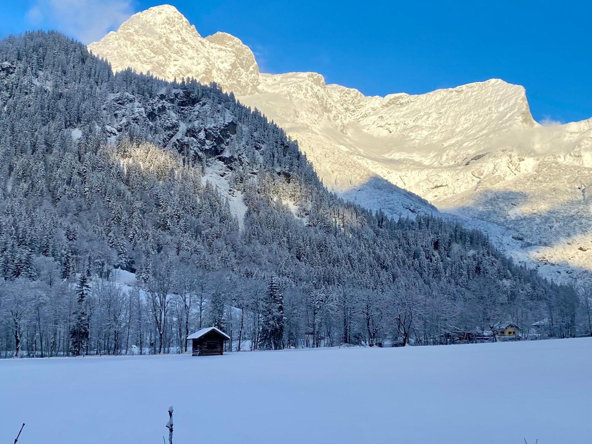 Alpen Appartements Oberlehengut Werfenweng Dış mekan fotoğraf