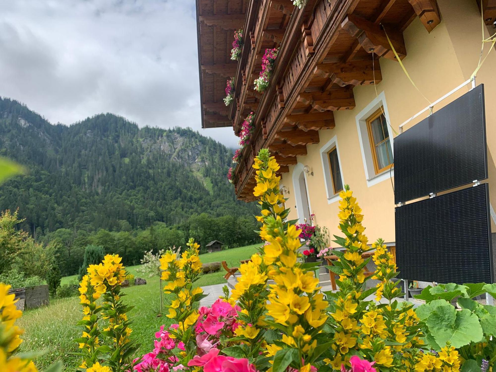 Alpen Appartements Oberlehengut Werfenweng Dış mekan fotoğraf