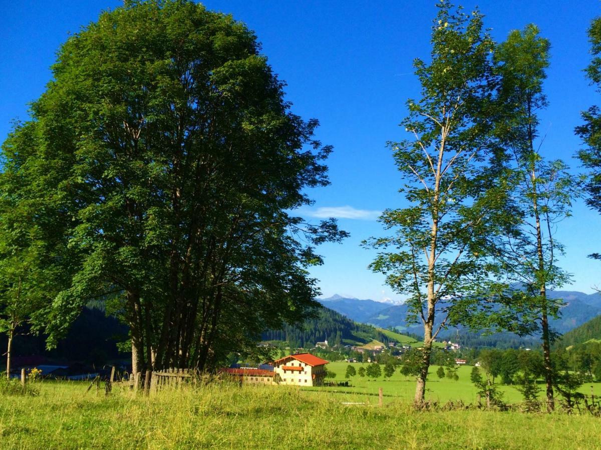 Alpen Appartements Oberlehengut Werfenweng Dış mekan fotoğraf
